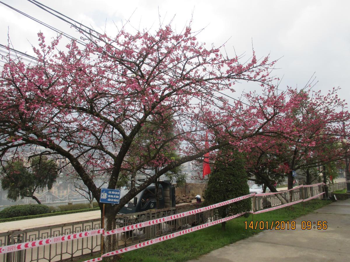 Tinh Doi Sa Pa Guest House 外观 照片